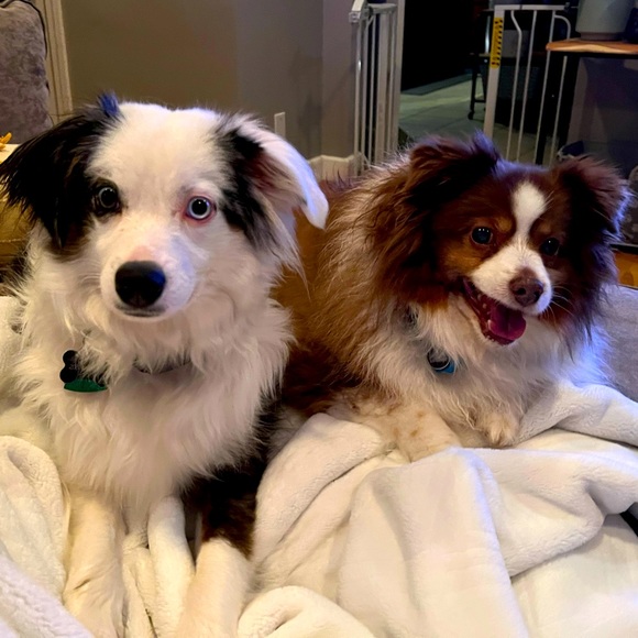 Meet your Posher, Rebecca - Picture 1 of 1